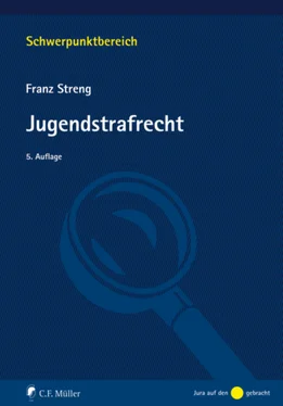 Franz Streng Jugendstrafrecht обложка книги