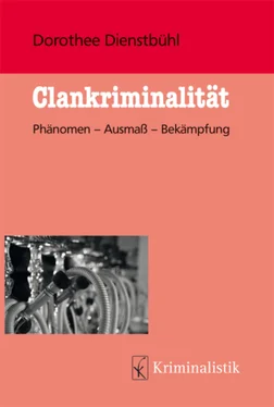 Dorothee Dienstbühl Clankriminalität обложка книги