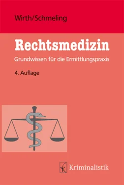 Ingo Wirth Rechtsmedizin обложка книги