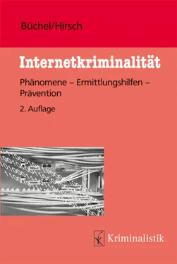 Peter Hirsch Internetkriminalität обложка книги