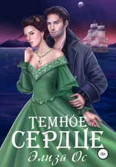 Элиза Ос - Темное сердце