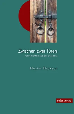 Nasim Khaksar Zwischen zwei Türen обложка книги