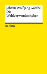 Johann wolfgang Goethe - Die Wahlverwandtschaften. Ein Roman