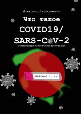 Александр Герасимович Что такое COVID19/SARS-CoV-2 обложка книги