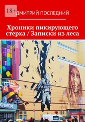 Дмитрий Последний - Хроники пикирующего стерха / Записки из леса