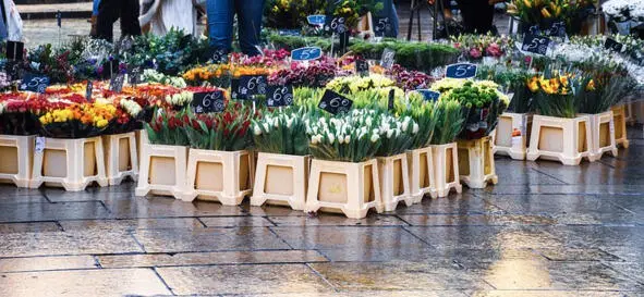Эта концепция возникла в розничной торговле продуктами питания массовый - фото 5