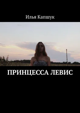 Илья Капшук Принцесса Левис обложка книги