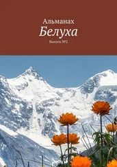 Виктор Свинаренко - Белуха. Выпуск №2