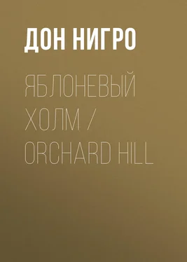 Дон Нигро Яблоневый холм / Orchard Hill обложка книги