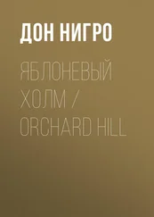 Дон Нигро - Яблоневый холм / Orchard Hill