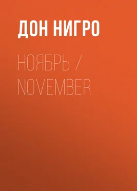 Дон Нигро Ноябрь / November обложка книги