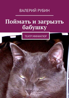 Валерий Рубин Поймать и загрызть бабушку. Театр миниатюр обложка книги