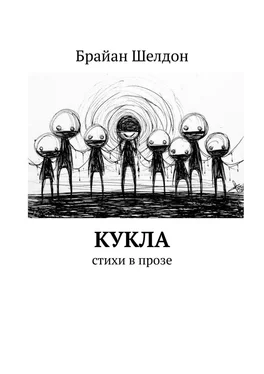 Брайан Шелдон Кукла. Стихи в прозе обложка книги