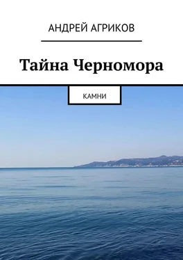 Андрей Агриков Тайна Черномора. Камни обложка книги