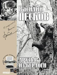 Василий Песков - Полное собрание сочинений. Том 11. Друзья из берлоги