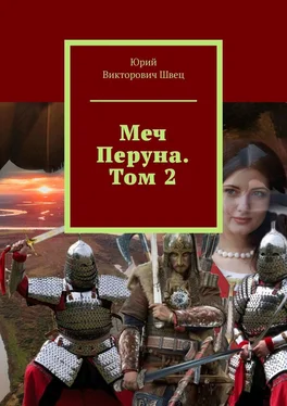 Юрий Швец Меч Перуна. Том 2 обложка книги