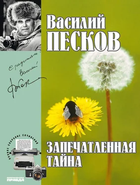 Василий Песков Полное собрание сочинений. Том 13. Запечатленная тайна