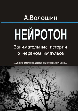 Александр Волошин Нейротон. Занимательные истории о нервном импульсе обложка книги
