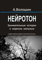 Александр Волошин - Нейротон. Занимательные истории о нервном импульсе
