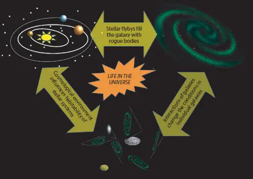 Figure 41 Sketch of the levels of influences of matter and their - фото 6