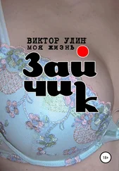 Виктор Улин - Зайчик