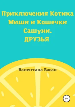 Валентина Басан Приключения Котика Миши и Кошечки Сашуни. Друзья обложка книги