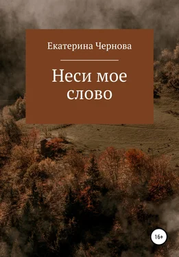 Екатерина Чернова Неси мое слово обложка книги