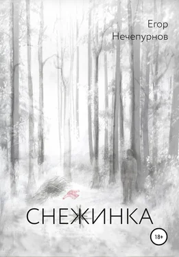 Егор Нечепурнов Снежинка обложка книги