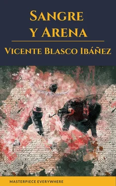 Vicente Ibáñez Sangre y Arena обложка книги