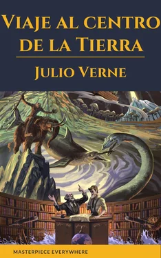 Julio Verne Viaje al centro de la Tierra обложка книги