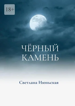 Светлана Июньская Чёрный камень обложка книги