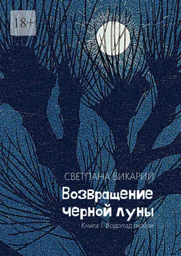 Светлана Викарий Возвращение черной луны. Книга 1. Водопад любви обложка книги