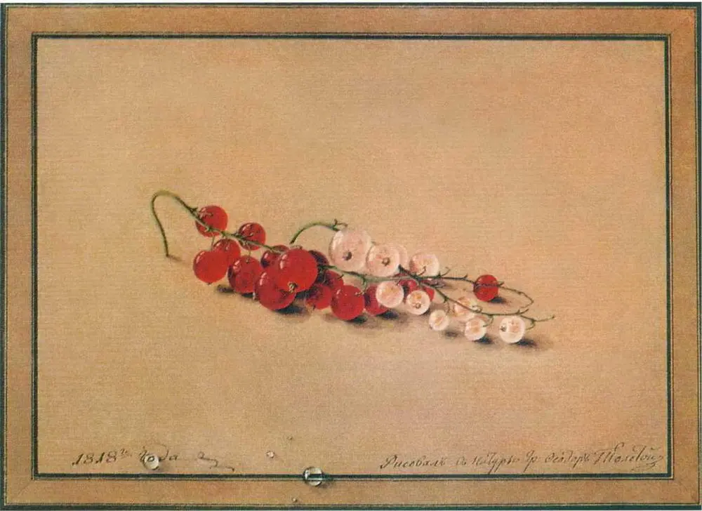 Ягоды красной смородины 1818 Акварель Государственная Третьяковская - фото 31