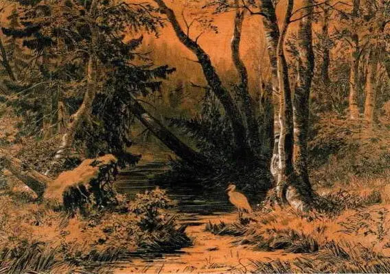 Лесная глушь 1870 Бумага желтая графитный карандаш растушка тушь перо - фото 37