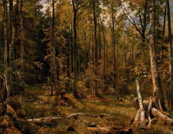 Смешанный лес Шмецк близ Нарвы 1888 Холст масло 83 х 101 см - фото 68