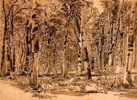 Березовая роща Вторая половина 1870х Бумага кремовая графитный карандаш - фото 77