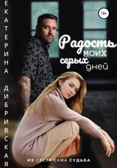 Екатерина Дибривская - Радость моих серых дней
