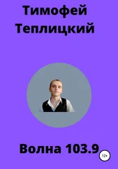 Тимофей Теплицкий - Волна103.9