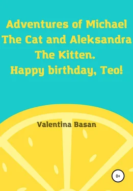 Валентина Басан Adventures of Michael the Cat and Aleksandra the Kitten. Happy birthday, Teo! обложка книги