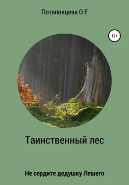 Ольга Потаповцева Таинственный лес обложка книги