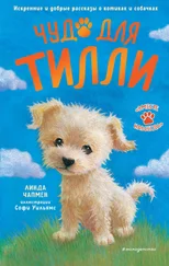 Джули Сайкс - Чудо для Тилли
