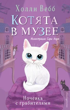 Холли Вебб Ночёвка с грабителями обложка книги