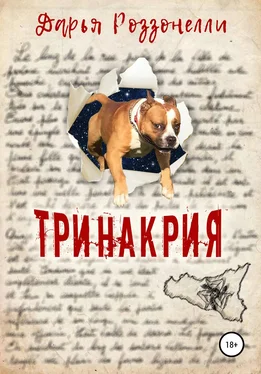 Дарья Роззонелли Тринакрия обложка книги