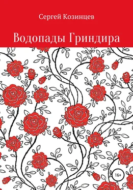 Сергей Козинцев Водопады Гриндира обложка книги