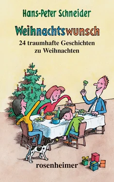 Hans-Peter Schneider Weihnachtswunsch обложка книги