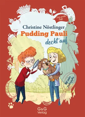 Christine Nöstlinger Pudding Pauli deckt auf обложка книги