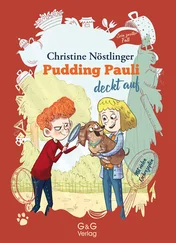 Christine Nöstlinger - Pudding Pauli deckt auf