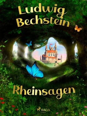 Ludwig Bechstein Rheinsagen обложка книги