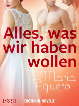 Maria Aguero Alles, was wir haben wollen - Erotische Novelle обложка книги