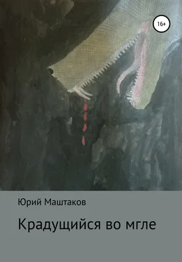 Юрий Маштаков Крадущийся во мгле обложка книги